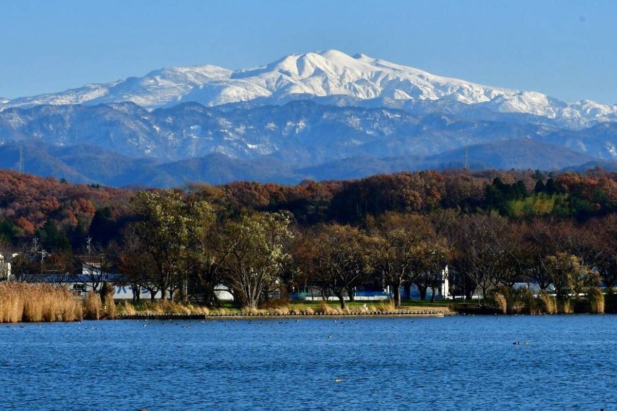 Kiba Park