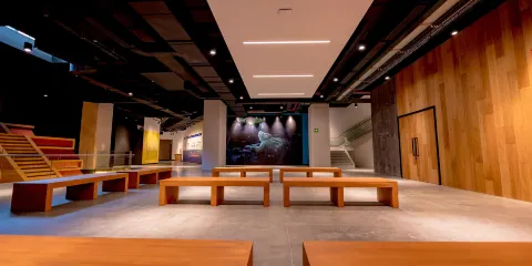 米拉弗洛雷斯博物館