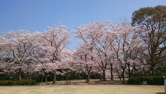 Hyogo Prefectural Harima Central Park