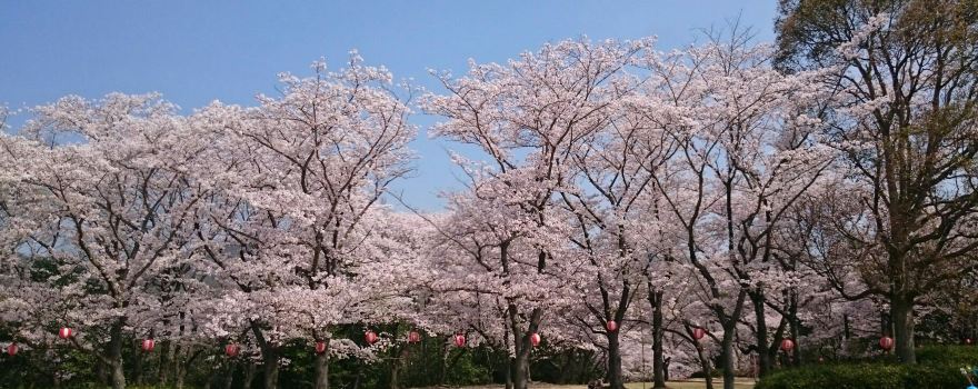 Hyogo Prefectural Harima Central Park