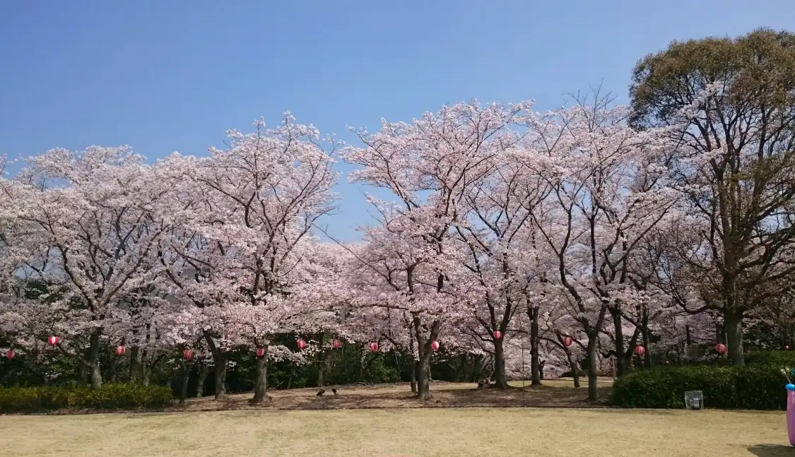 Hotels near Hyogo Prefectural Harima Central Park