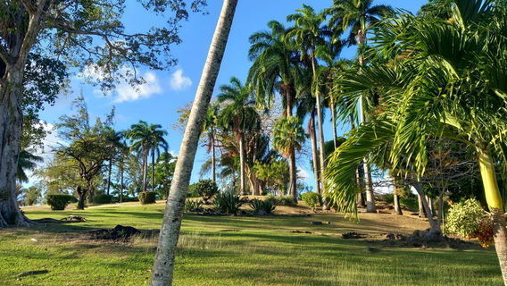 Scarborough Botanical Garden