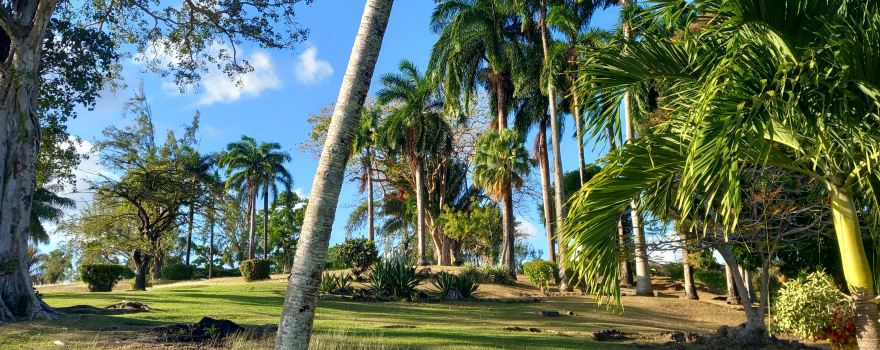 Scarborough Botanical Garden