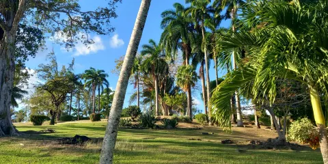 Scarborough Botanical Garden