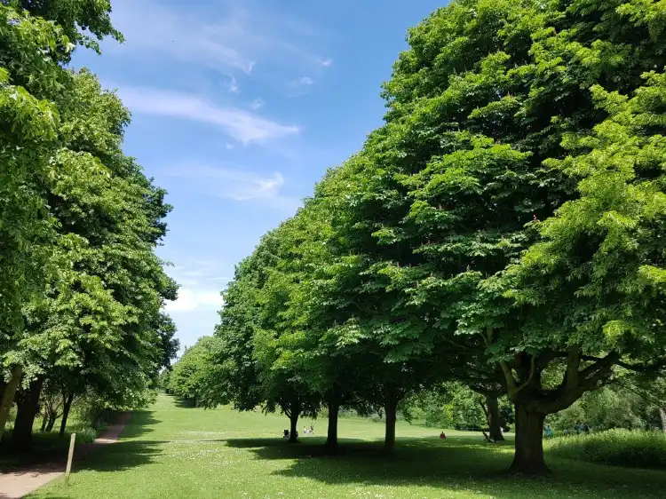 Hotels in Letchworth