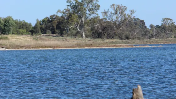 Lake Hawthorn