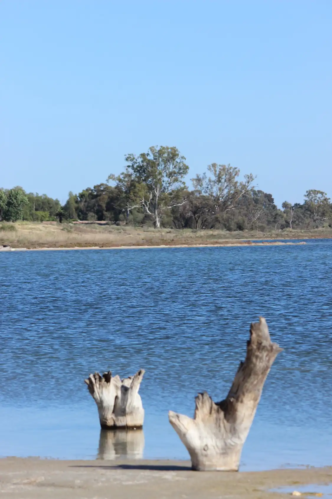 Hotels near Lake Hawthorn