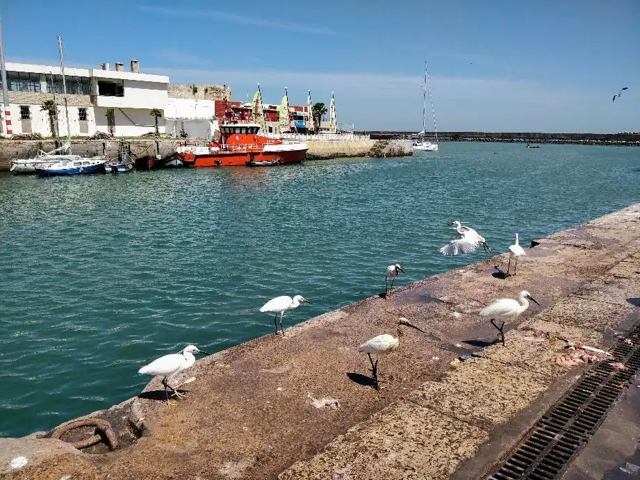 Hotels near Le Port d'El Jadida