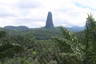 Pico Cão Grande