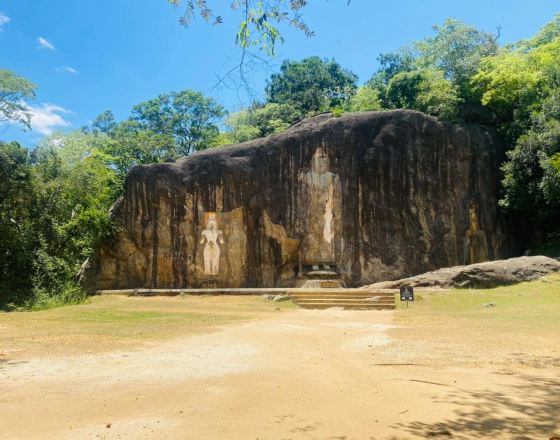 瓦都瓦 自由行套票