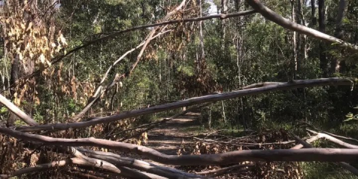 Sheep Station Creek Conservation Park