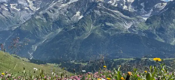 Hotels in Hauteluce