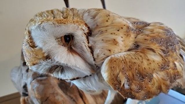 McNary National Wildlife Refuge