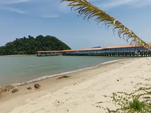 Pantai Penyabung