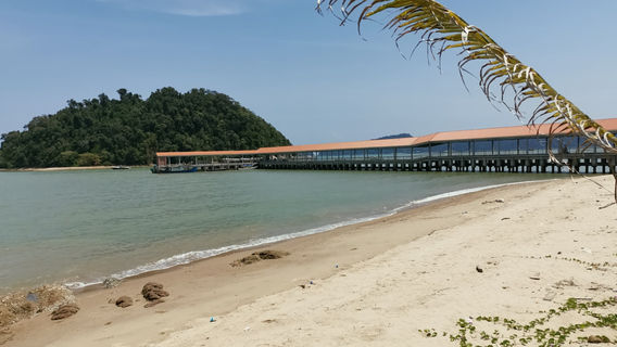 Pantai Penyabung