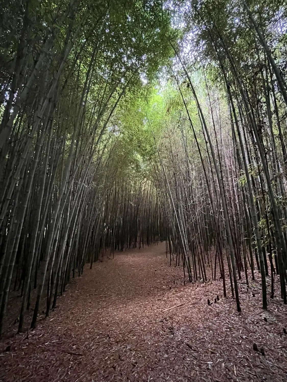 Các khách sạn gần Guryong Village Bamboo Forest