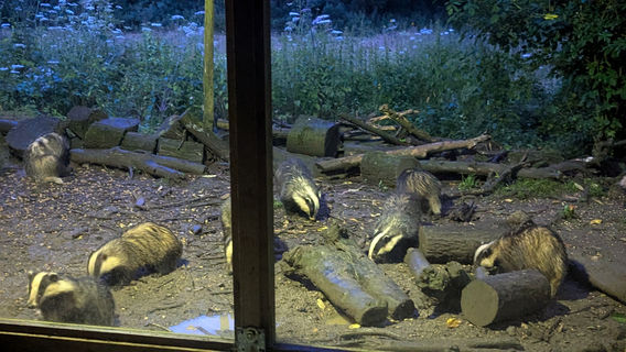 테윈 오차드 자연보호지역