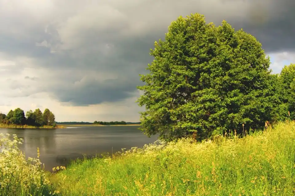2_National Park Narochansky