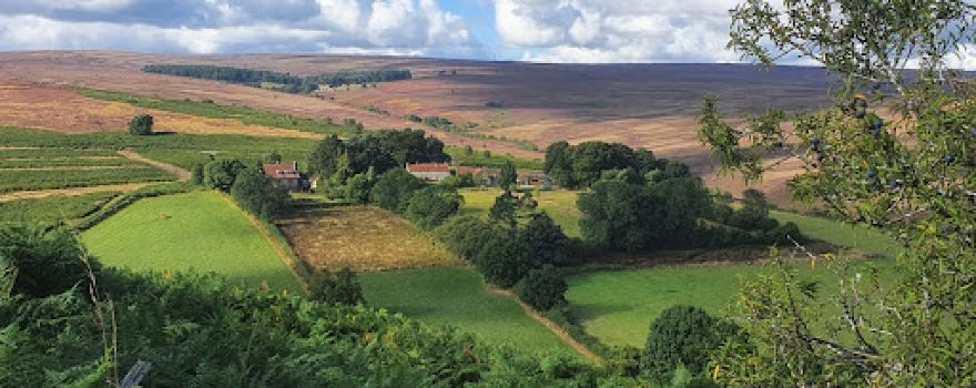 Hutton-le-Hole Caravan Park