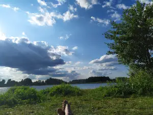 Baza Vidpochynku