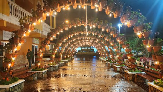 Domingo Medica Park