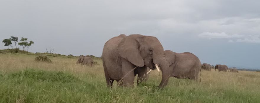 Kilgoris Kenya