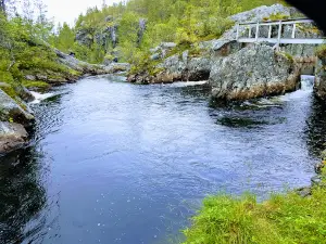 Brudesløret