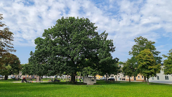 Altheim