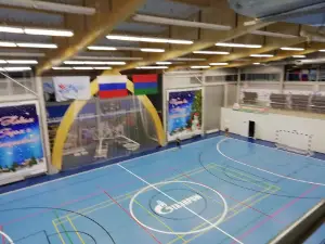 МАУ ПМР "Физкультурно-оздоровительный комплекс"