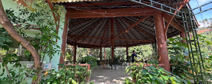Veal Pouch Pagoda
