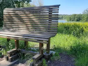 NSG Dammer Bergsee