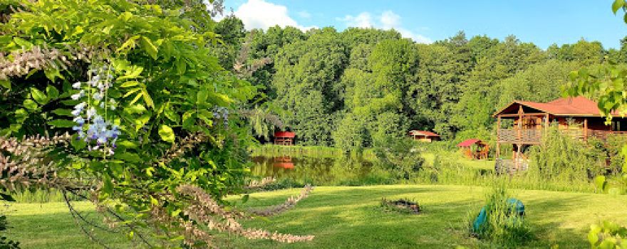 Camping Balta Costin