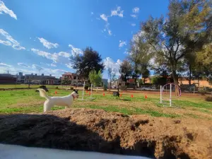 Recreativo El Carmen Park