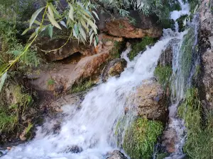 "La Cascada"