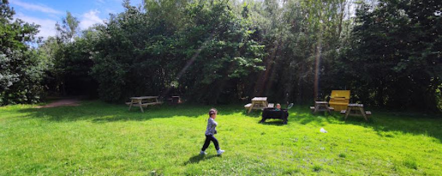 Fire & Stars Woodland Camping