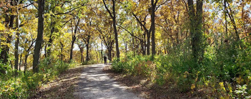 McDonald Woods Forest Preserve