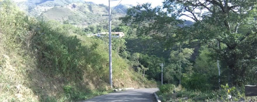 Barrio El Bosque