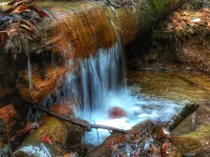 Hell's Hollow