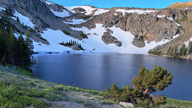 Eldorado National Forest