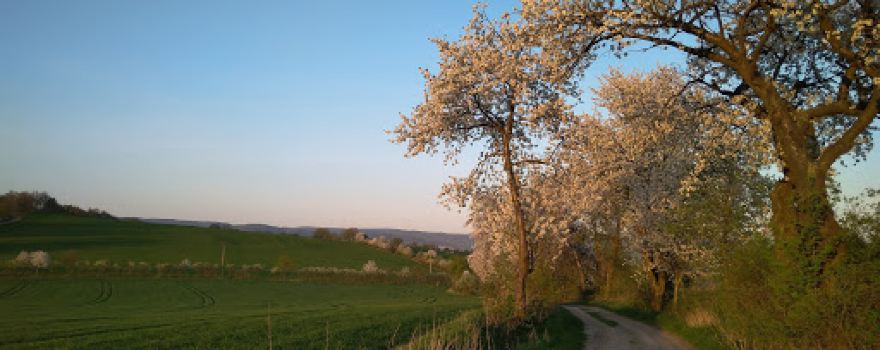 Farma Holubice