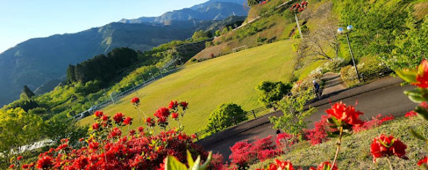 Maruoka Park