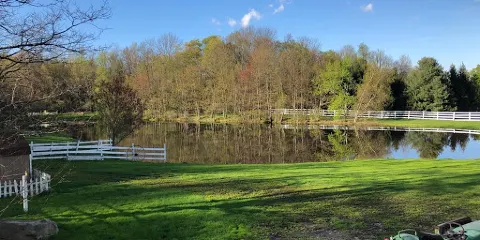 The Petting Zoo at Breezeway Farm