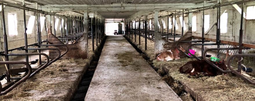 Shunpike Dairy LLC.