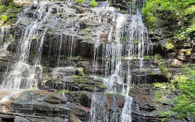 Oconee Station Trail