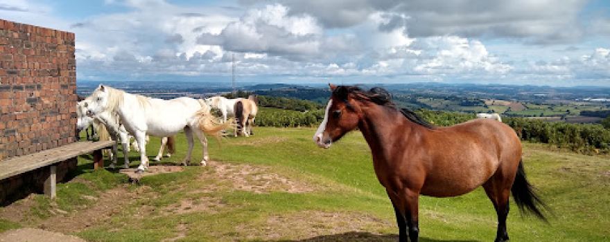 Garway Hill