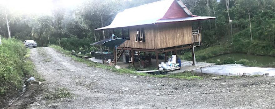 BOLA TEPPOE