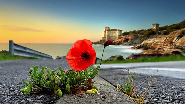 Castello del Boccale