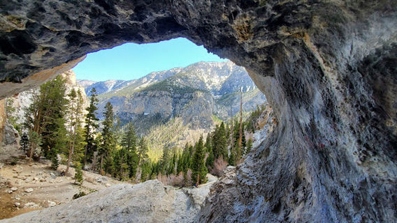 Kyle Canyon Picnic Area