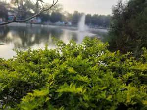 Itarsi Sarovar