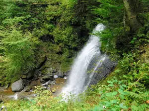 Buttermilk Falls Natural Area